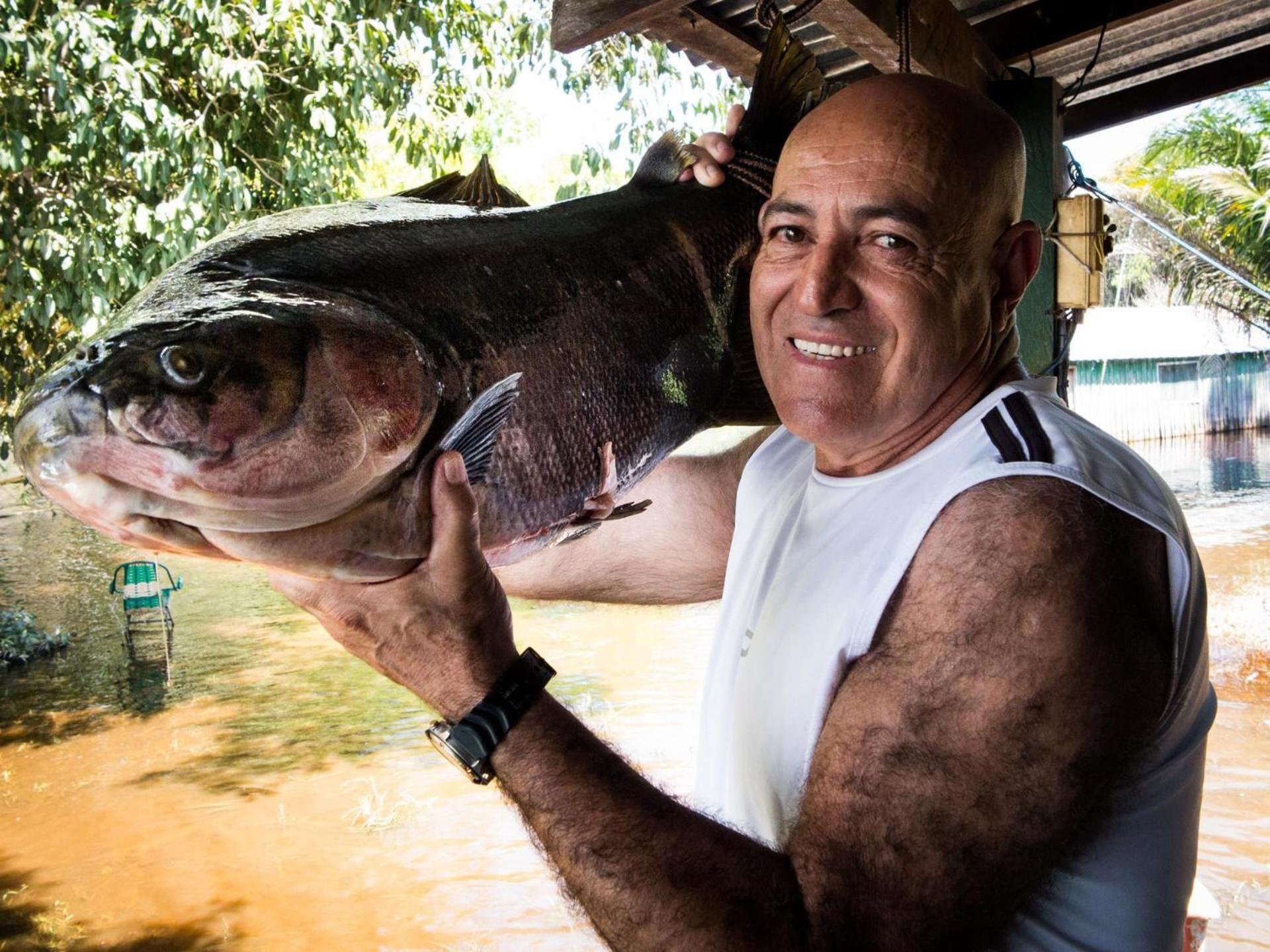 Amazonia Lodge Exxperience Paricatuba ภายนอก รูปภาพ