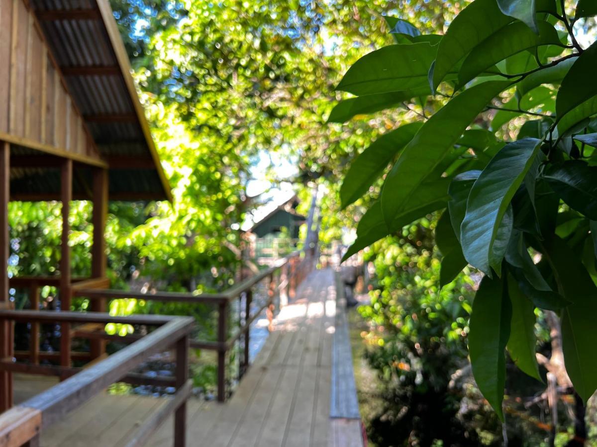 Amazonia Lodge Exxperience Paricatuba ภายนอก รูปภาพ