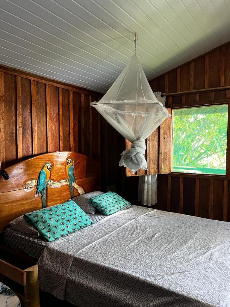 Amazonia Lodge Exxperience Paricatuba ภายนอก รูปภาพ