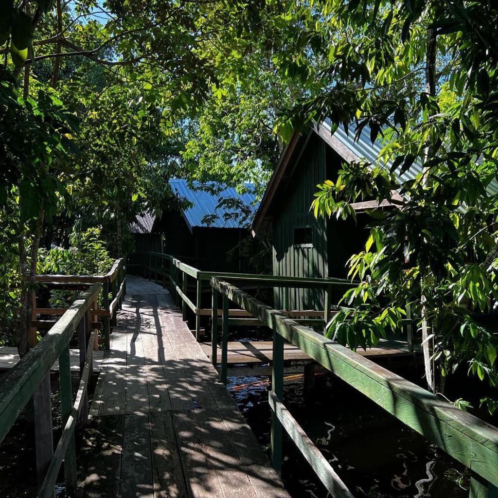 Amazonia Lodge Exxperience Paricatuba ภายนอก รูปภาพ