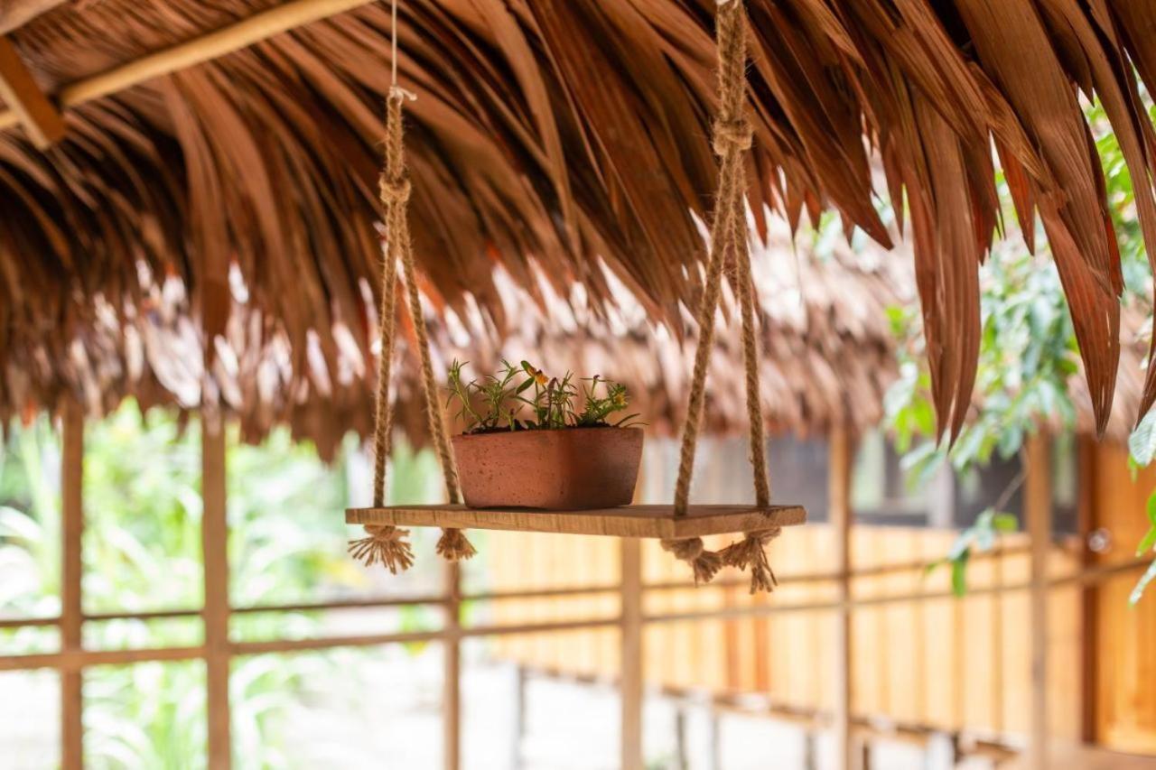 Amazonia Lodge Exxperience Paricatuba ภายนอก รูปภาพ